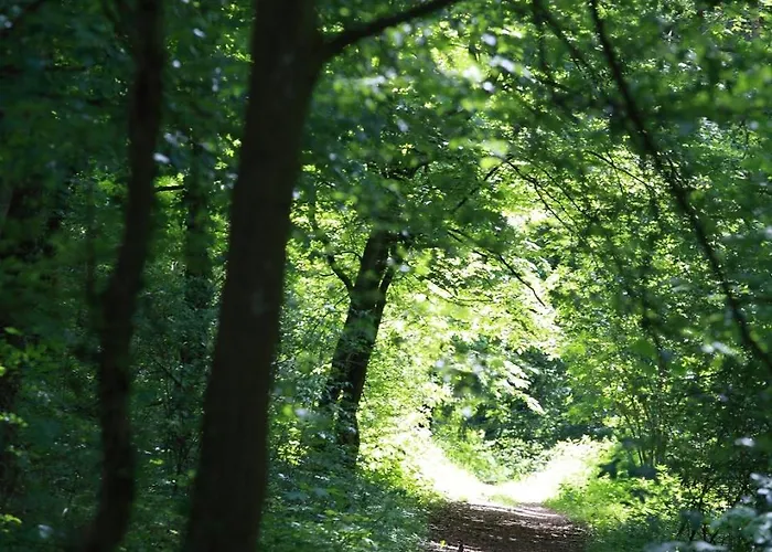 The Seven Szálloda Esch-sur-Alzette