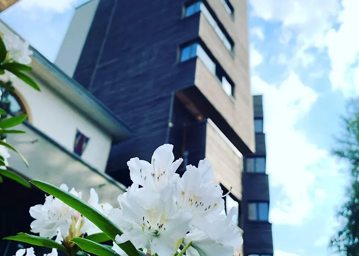 The Seven Esch-sur-Alzette