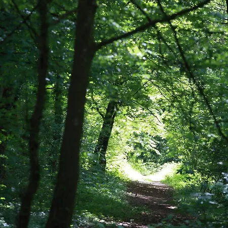 The Seven Hotel Esch-sur-Alzette