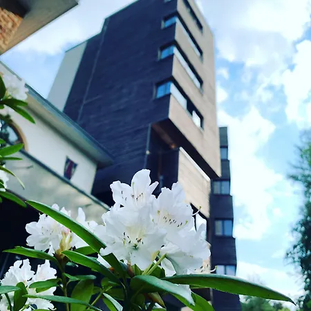 The Seven Esch-sur-Alzette